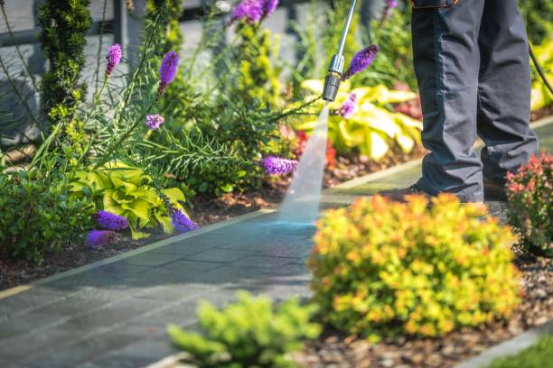 Best Soft Washing for Delicate Surfaces in Milford, IN